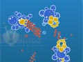 Bubble tanks
