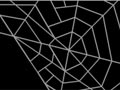Arachnophilia