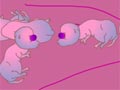 Rats on cocain 5