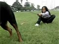Dog whisperer