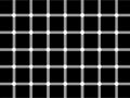 Optical Illusions