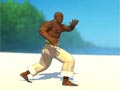 Capoeira fighter 1