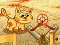 Cat-a-pult