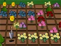 Blooming garden