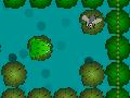 Frogfly