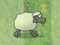 Sheep dash