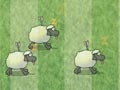 Sheep dash
