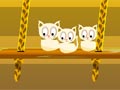 Swing cat