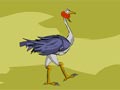 Ostrich jump