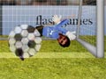 Ragdoll goalkeeper
