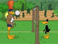 Tricky duck voleyball