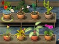 Plant tycoon