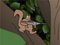Squirrel hunt